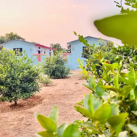 Jaipur Eco Village